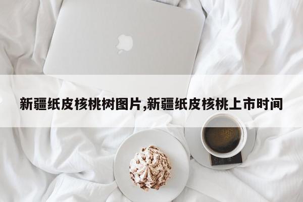 新疆纸皮核桃树图片,新疆纸皮核桃上市时间