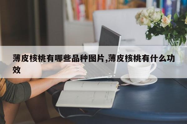 薄皮核桃有哪些品种图片,薄皮核桃有什么功效